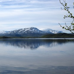 Torneträsk