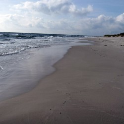 Sandhammaren en öde strand så här års