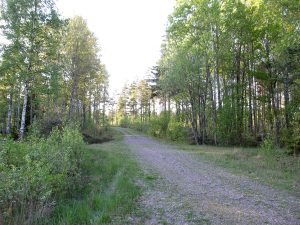 Grytsjön