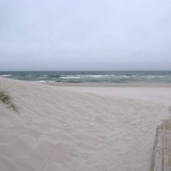 Det blev en kort strandpromenad idag