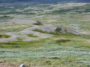 Nissuntjårro