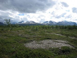 Abisko nationalpark