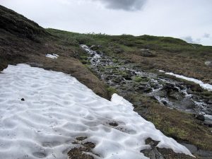 Snönlega