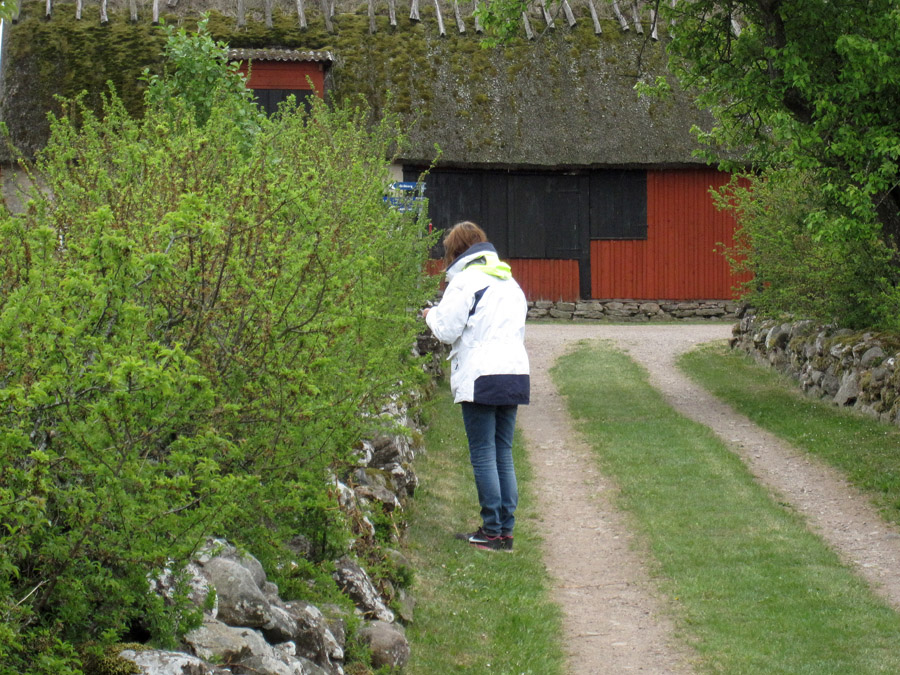 Gunilla letar