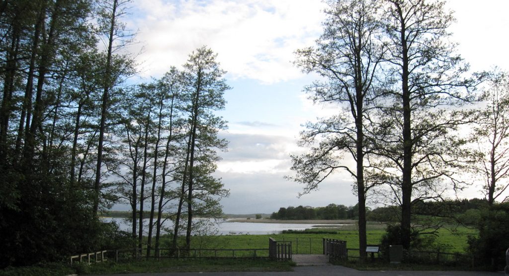 Fin miljö runt Wiks slott