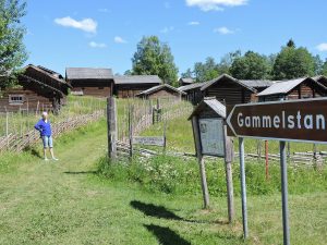 Gammelstan