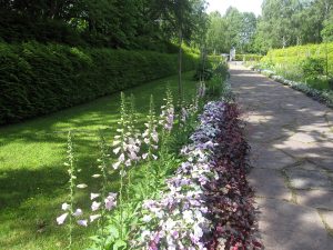 Mycket blommor i Rottneros parken