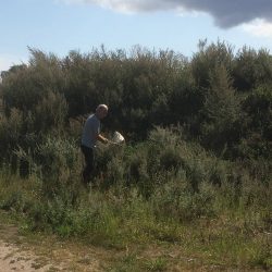 Slaghåvning på gång