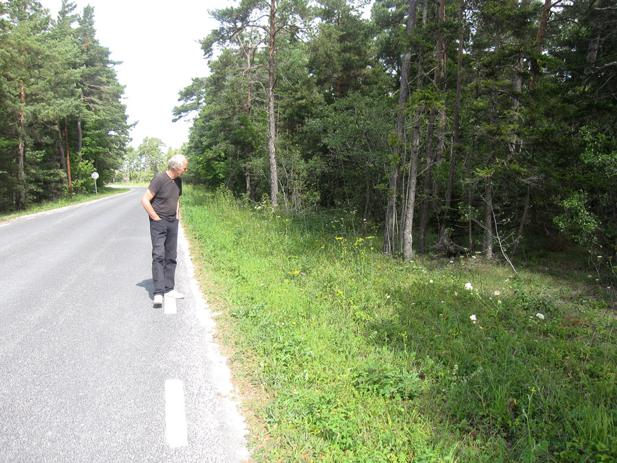 Vägrensspaning