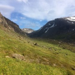 Dalen mot Trollsjön