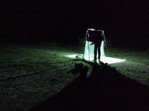 Lyckat lys på Malmön