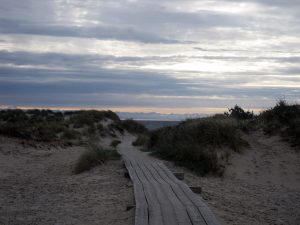 Vacker morgon vid Sandhammaren